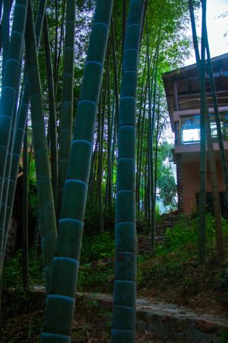 Wulingyuan Resort | 张家界云上的家千竹堂民宿