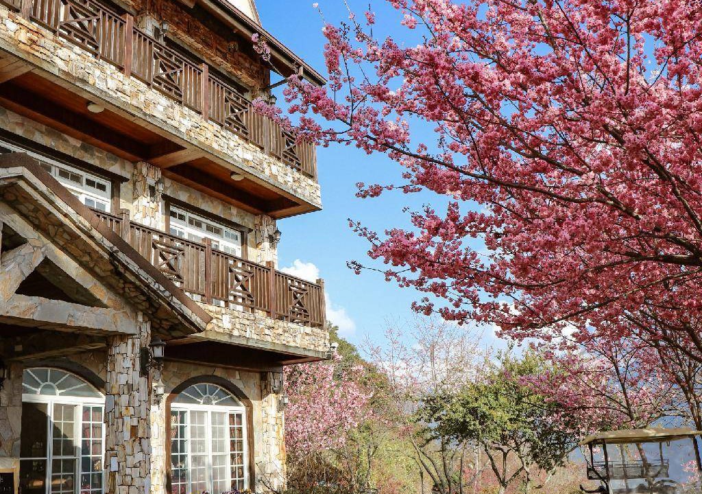 Ren'ai Hotel | 158 m² Motel ∙ 127 guests
