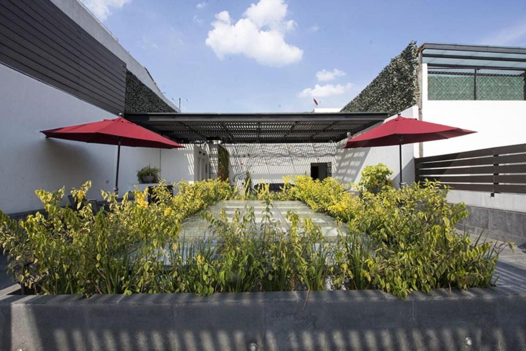 Anahuac House | 4Px Eco friendly Apartment with trendy Rooftop!