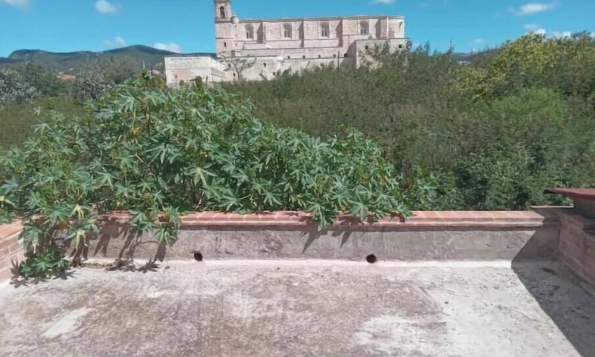 Yanhuitlan Apartment | A Colonial Jewel in the Heart of the Mixteca Alta, single room.