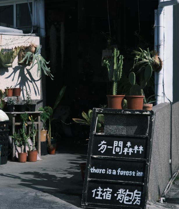 Xiaoliuqiu House | A Forest Homestay