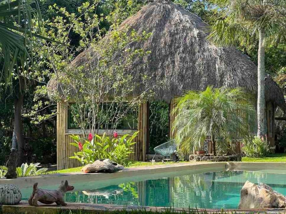 Downtown Holbox Villa | Aldea Kulubá Luxury cabin & private cenote