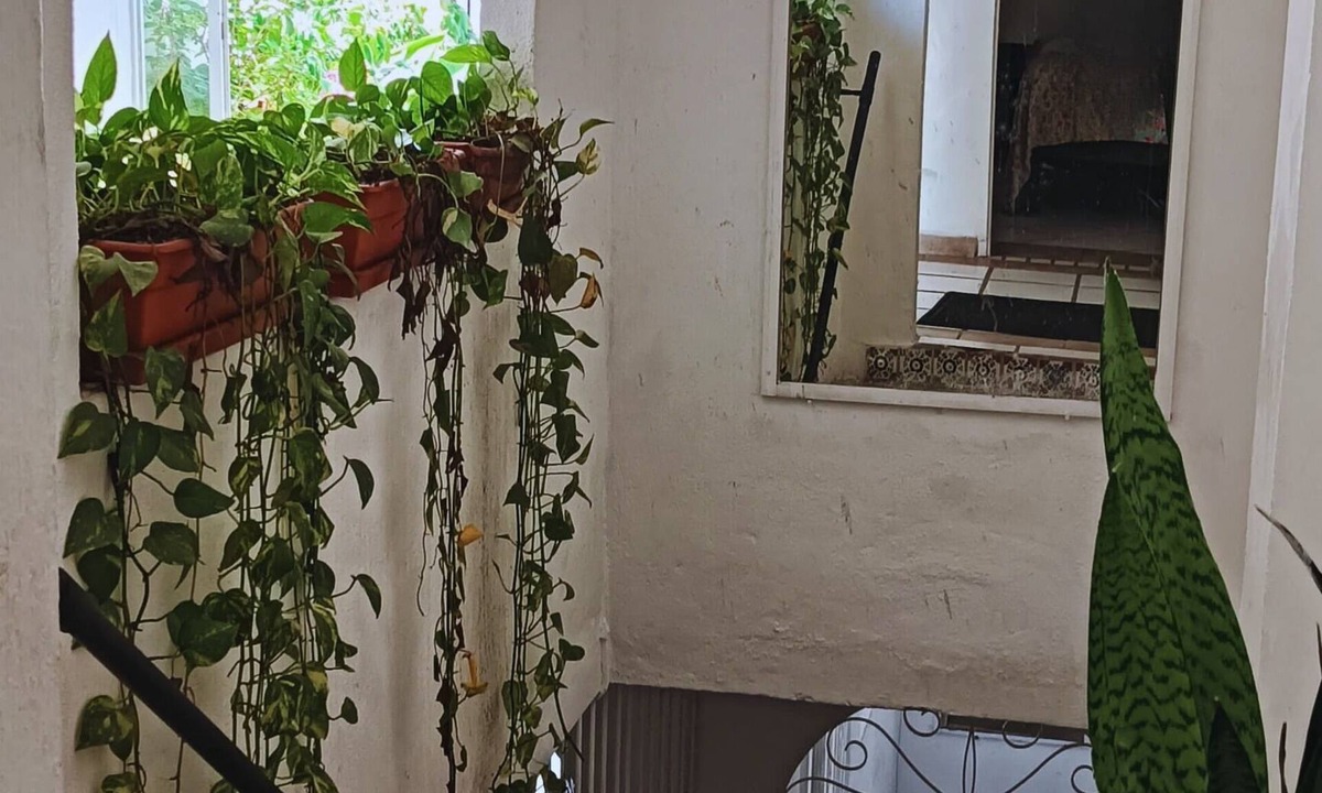 Emiliano Zapata Bed & Breakfast | Alexandross Hostel BnB