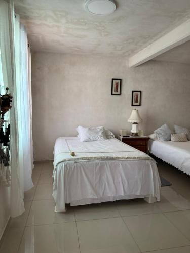 San Juan del Rio House | Alojamiento Lulu