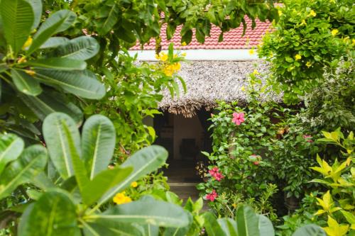 Cam An House | An Bang Purple Homestay