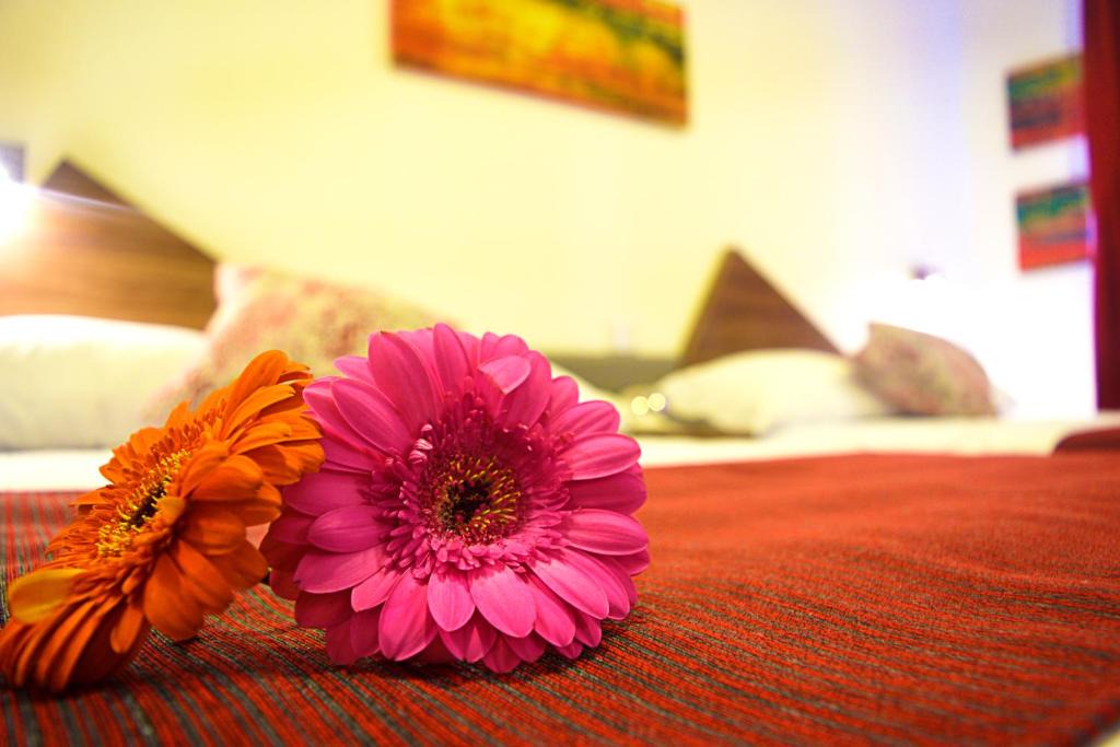 Xalapa Hotel | Astro Inn Hotel Express