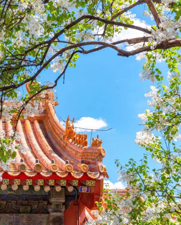 North Chaoyang Hotel | Atour Hotel Beijing Zhongguancun Central University of Finance and Economics
