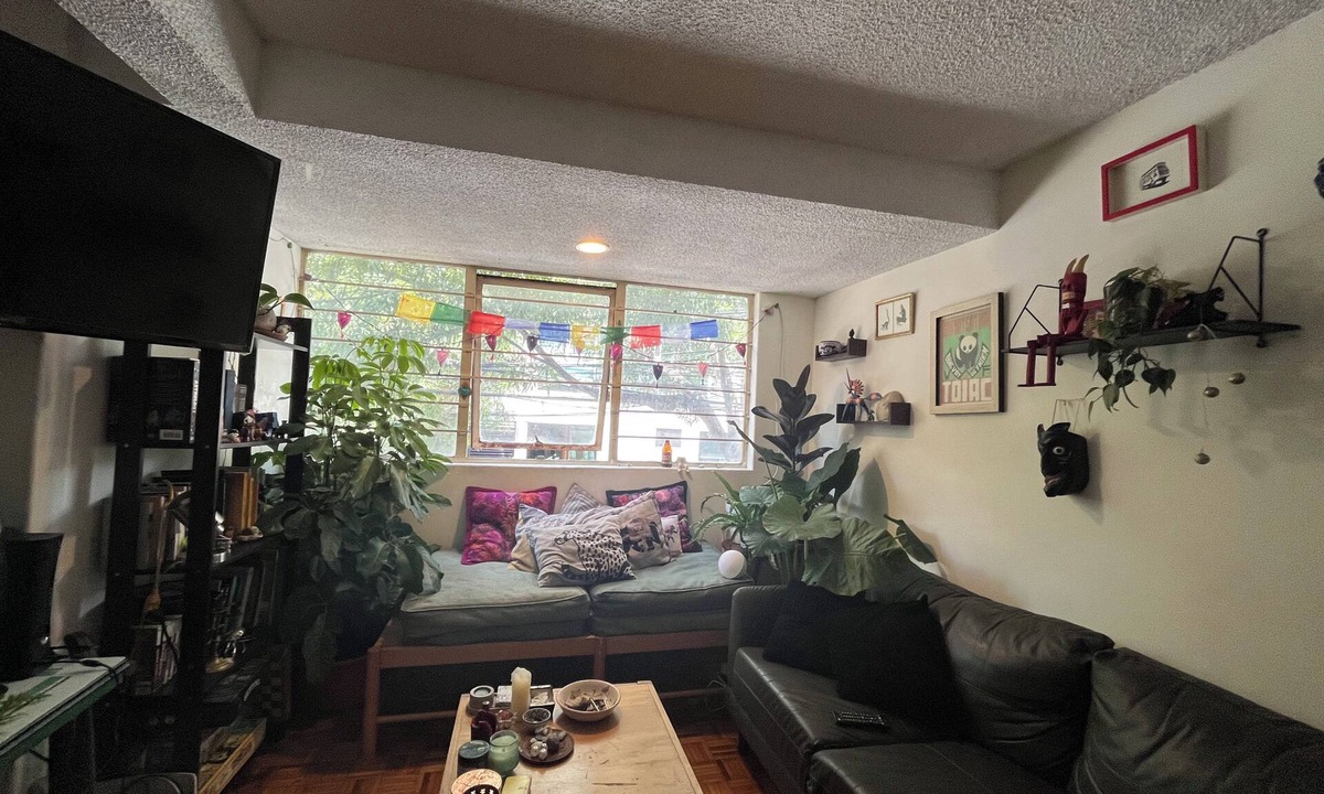 Del Valle Apartment | Authentic urban jungle in Coyoacán, quiet and well-connected neighborhood