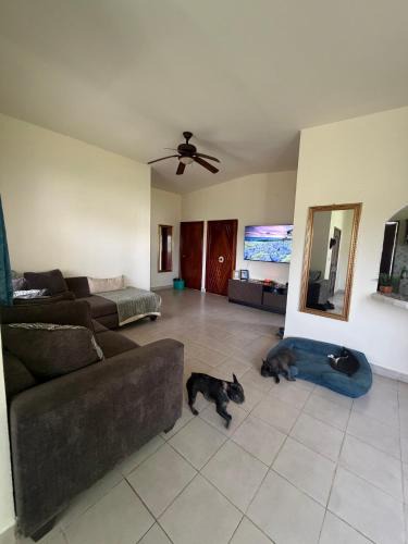 Naranjos Apartment | Beautiful Quiet Avacion House