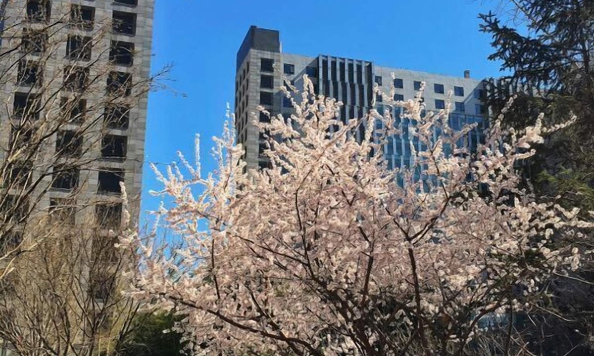 Middle Chaoyang Hotel | Beijing Yilejia Apartment