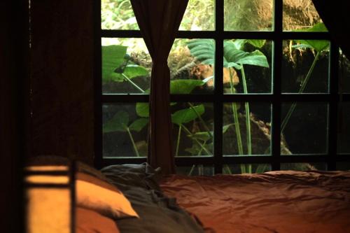 Sa Pa Apartment | Bluebird chill homestay with Bamboo and Stream
