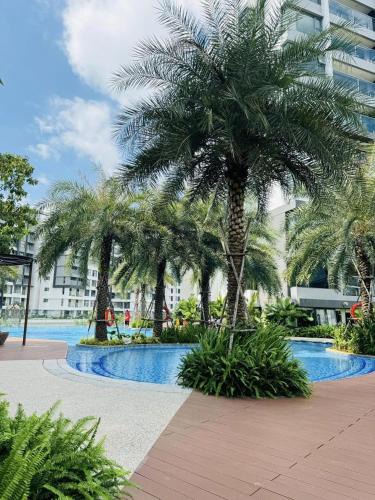 Tan Phu District Apartment | Căn hộ 2pn2wc Diamond Alnata Plus