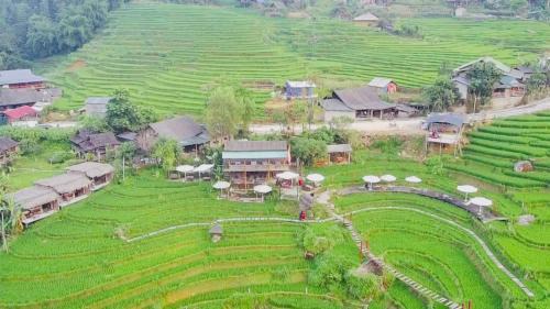 Sa Pa Hotel | Cơmlam Eco House