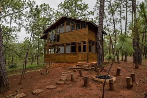Mascota Ski Chalet | Cabaña Jabalí para 7 personas en el bosque de Mascota