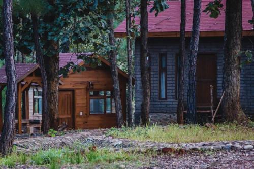 Mascota Ski Chalet | Cabaña Libélula para parejas
