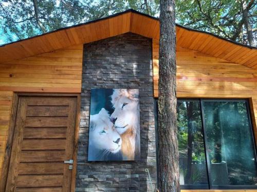Mazamitla Ski Chalet | Cabaña Nala de lujo para parejas