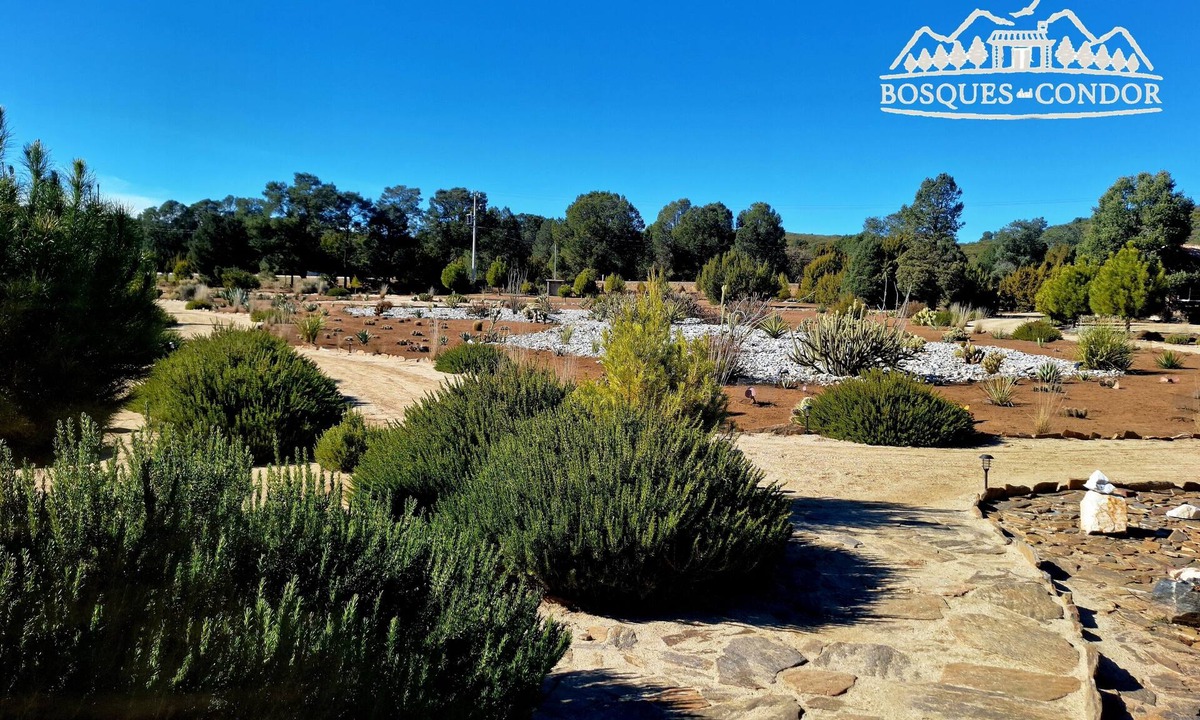 Tecate Municipality Cabin | Cabañas Bosques del Cóndor 2-NIGHT PROMO