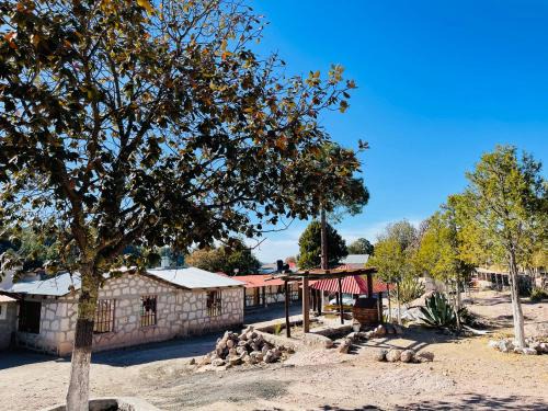 Areponapuchi Hotel | Cabañas De Lolita En Barrancas del cobre