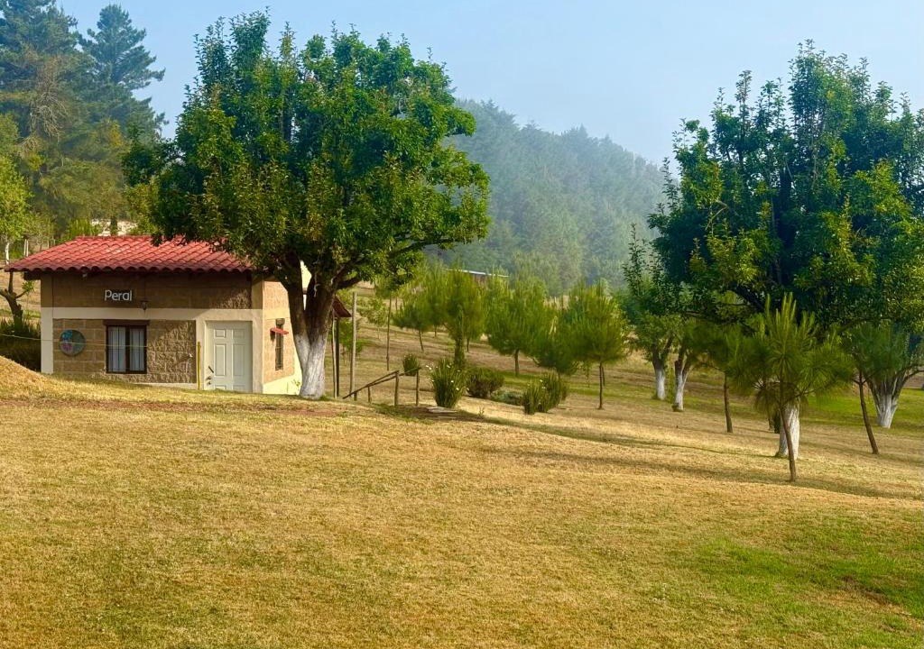 Zacatlan Cabin | Cabañas Huerta la Mision, Zacatlán