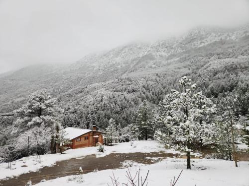 Arteaga Cabin | Cabañas La Moneda