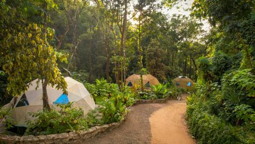 Puerto Vallarta Resort | Cabo Real Luxury Glamping