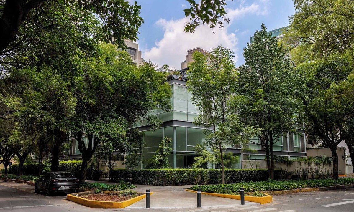 Polanco Apartment | Capitalia | Terrace Leafy Views | Parque Lincoln