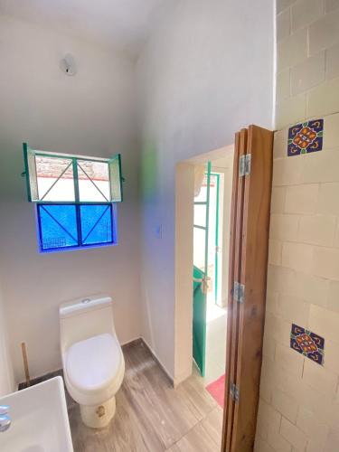 Downtown Queretaro House | casa camelina
