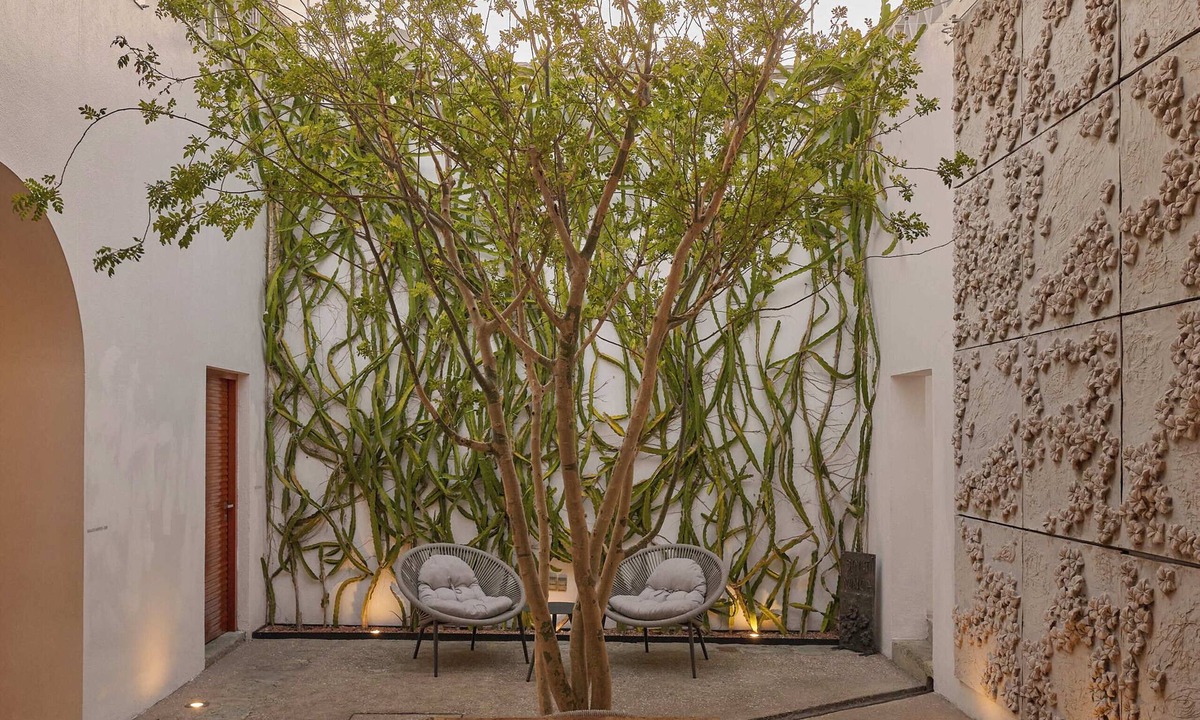 Centro Bed & Breakfast | Casa Carmen Morelos