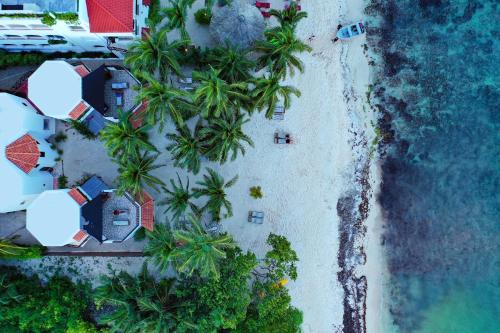 Soliman Bay Bed & Breakfast | Casa Colibrí Tankah