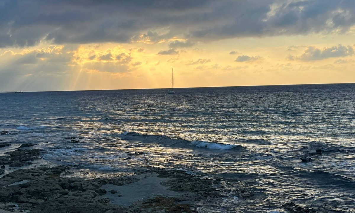 Zona Hotelera Norte House | Casa frente al mar de Cozumel #10