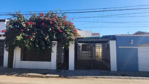 Mexicali House | Casa Jardines