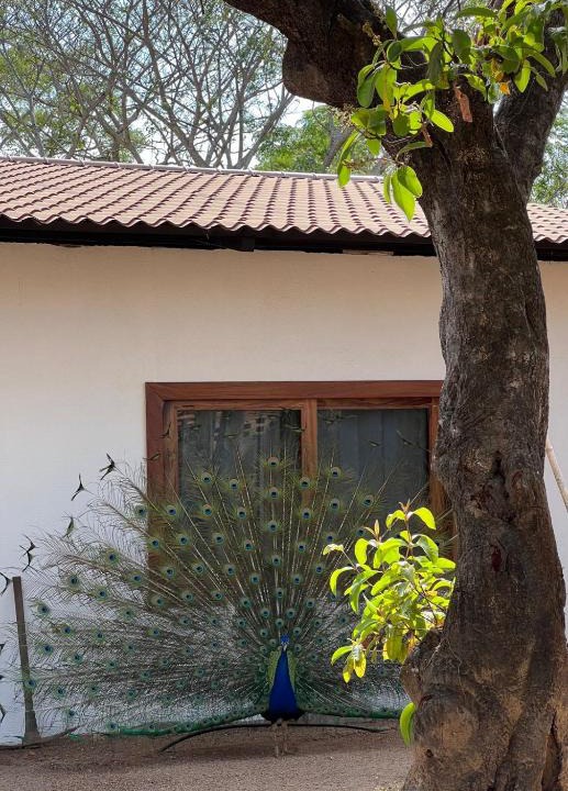 Cuautepec Other | Casa Magdalena