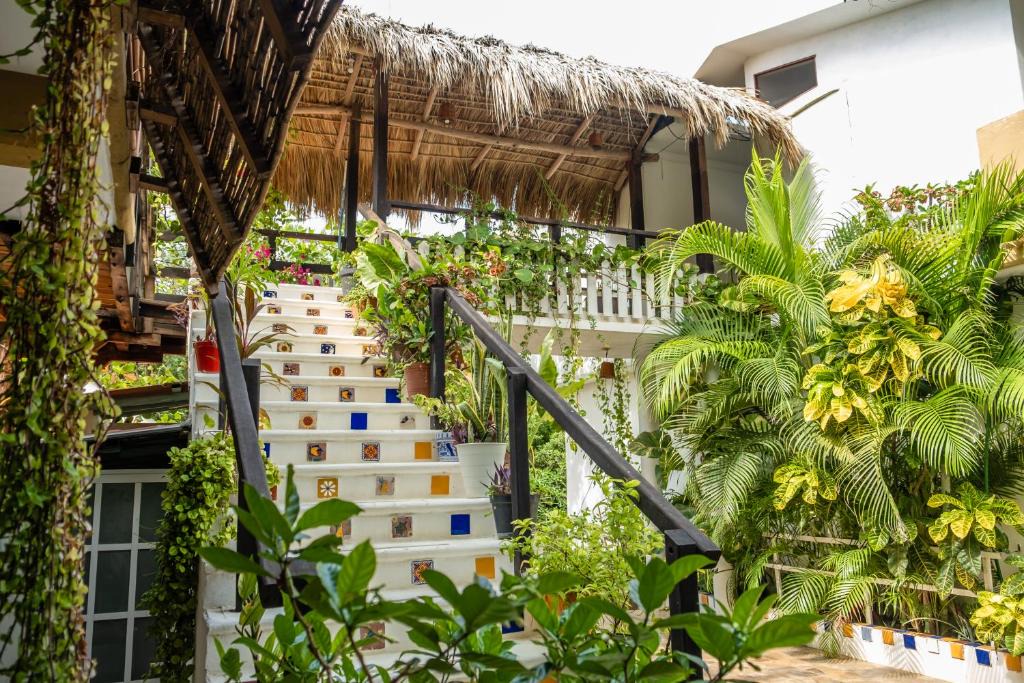 Mazunte Hotel | Casa Mazunte Tierra Viva