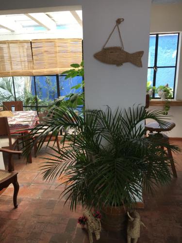 Del Carmen Apartment | Casa Molcajete