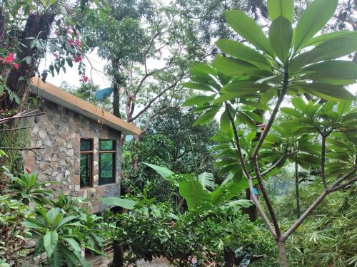 Xilitla Hotel | Casa Musgo