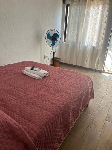 Tepoztlan House | casa regina