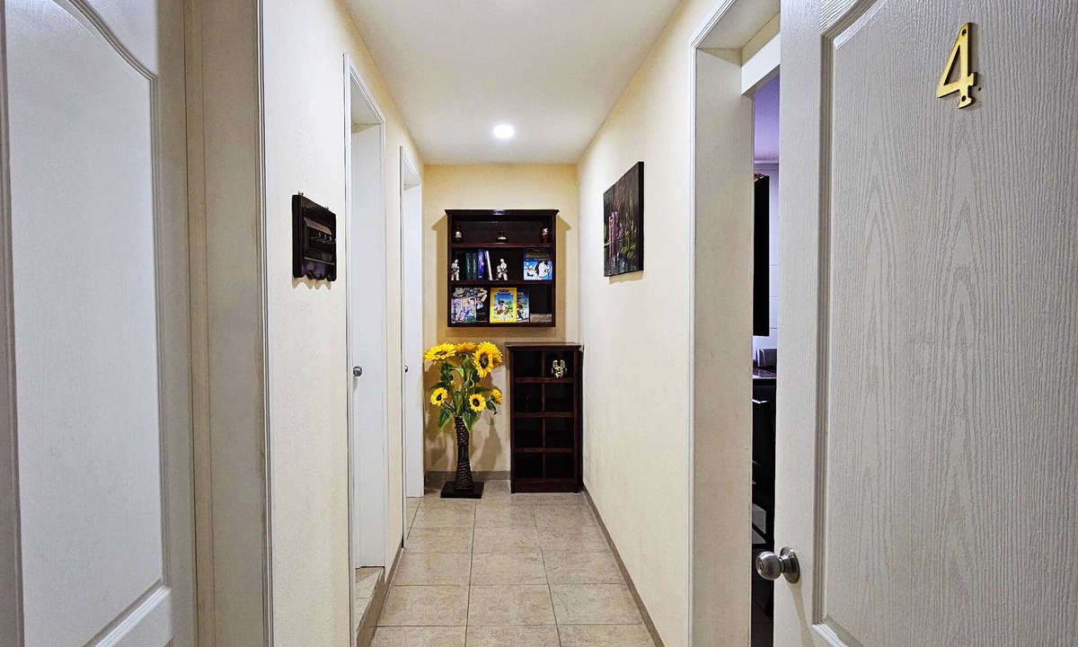Tehuacan Apartment | Central apartment, all services