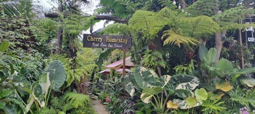 Buon Ma Thuot Hotel | Cherry HomeStay & coffee