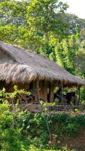 Kon Plong Other | COI NGUON FARM GLAM Mang Den