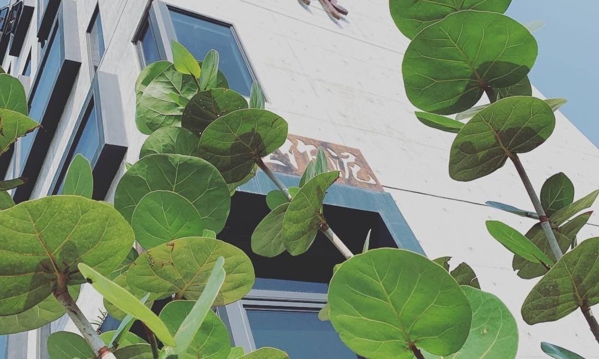 Xincheng Bed & Breakfast | Comesit