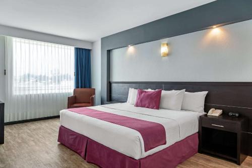 Morelia Hotel | Comfort Inn Morelia