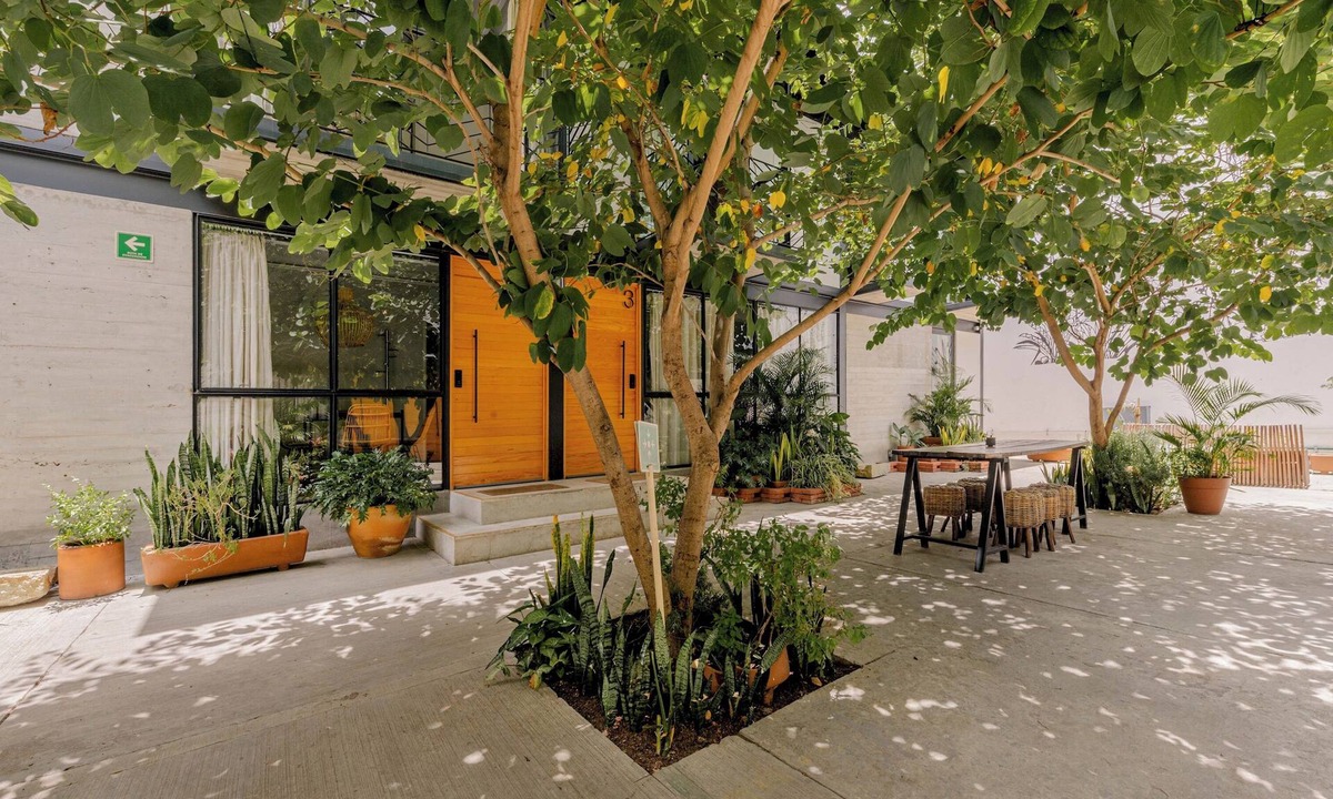 Centro Apartment | COMPLEJO GARCIA · Apartment Complex with Greenery Steps to Zocalo