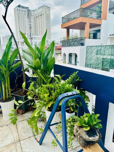 Phuong 8 House | Cosmo Home