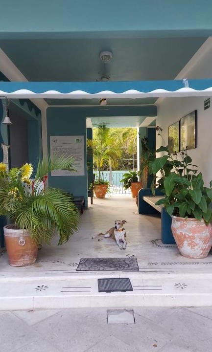 P Chahue Hotel | Delphinus Inn