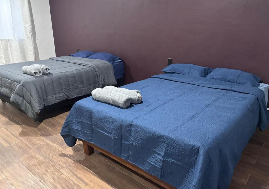 Villa de Zaachila Apartment | Demi Apartment