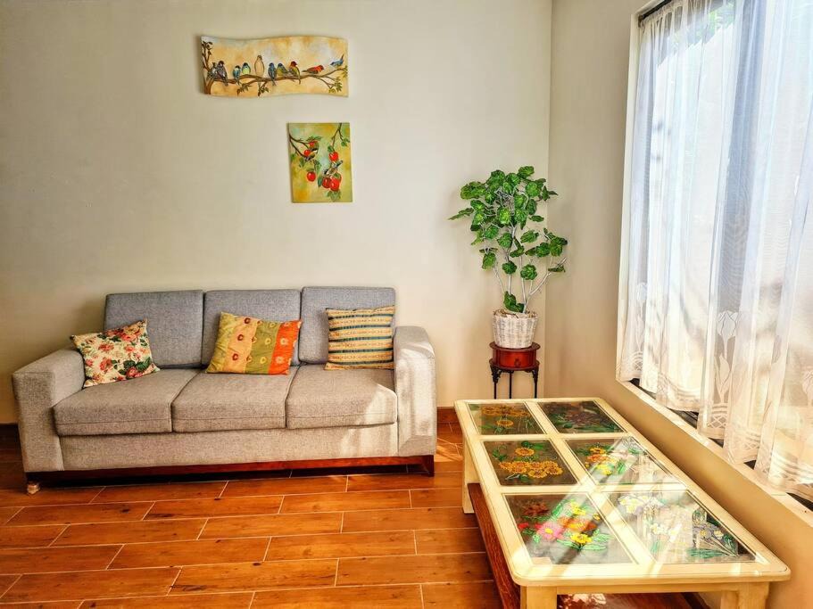 Santa Lucia Apartment | Depa de Esteban