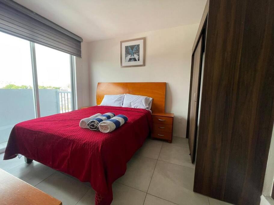 San Juan de Dios Apartment | Departamento en el Centro de Guadalajara
