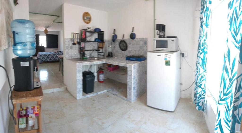 Xalapa Apartment | Depto CENTRO Parque Juarez