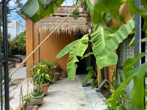 Vinh Hai Bed & Breakfast | Domino Garden House