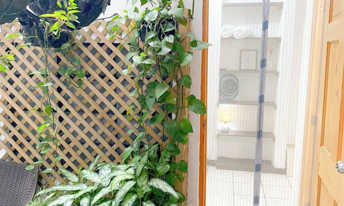 Zona 12 House | Economic room with bathroom. Semi-double bed. Guatemala City Zone 12.